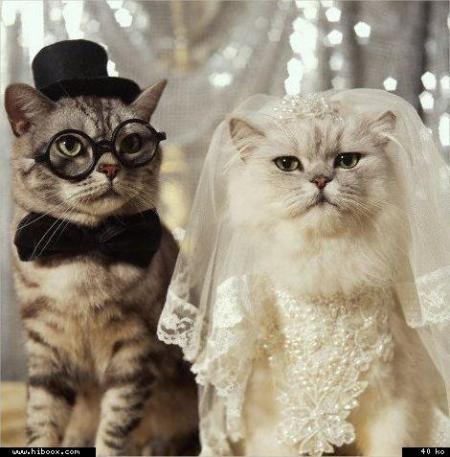 mariage